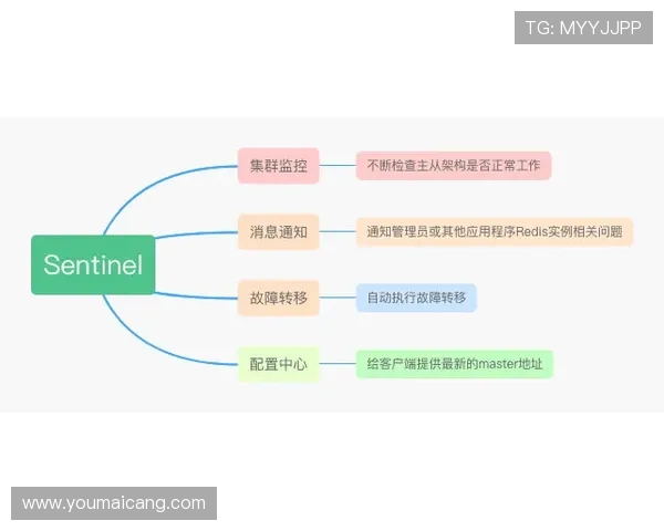 深入解析AG国际滚球的赔率变化规律，助力玩家制定合理投注策略